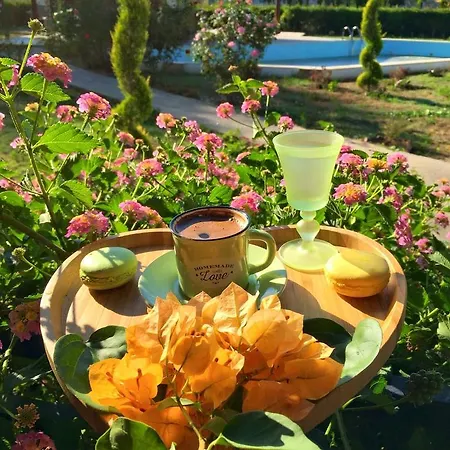 호텔 Sunshine Boutique *