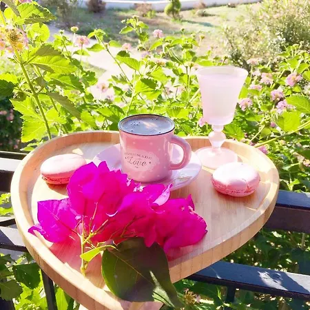 Hotel Sunshine Boutique Dalyan