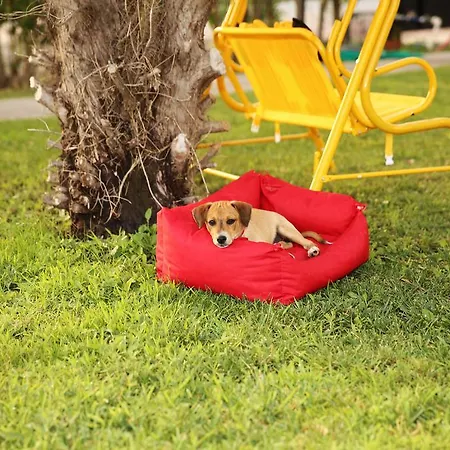 Sunshine Boutique Dalyan