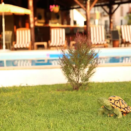 Hotel Sunshine Boutique