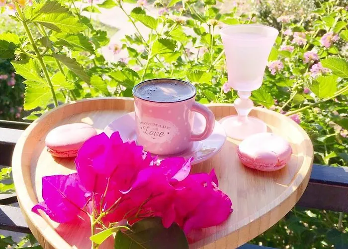 酒店 Sunshine Boutique 达利安