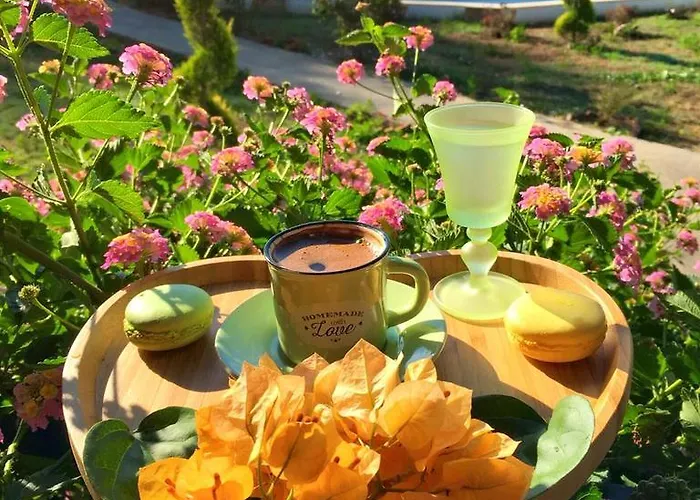 酒店 Sunshine Boutique *