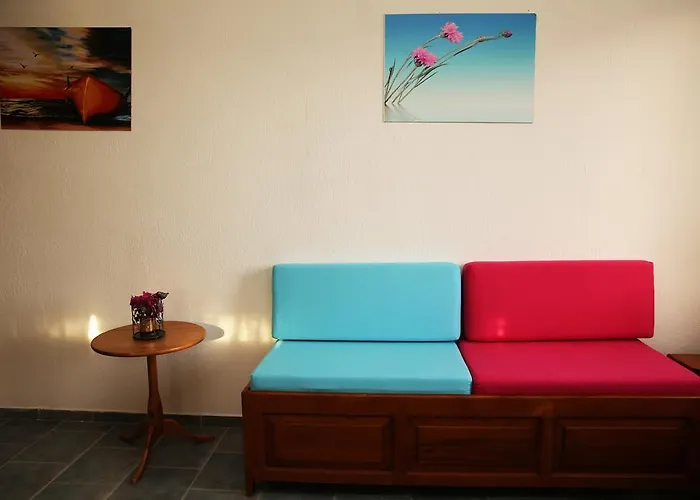 Sunshine Boutique 酒店 达利安