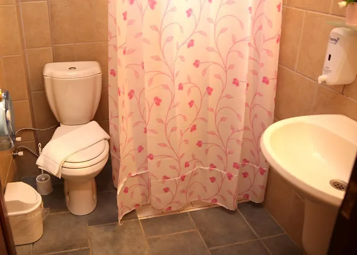 Sunshine Boutique 酒店 达利安